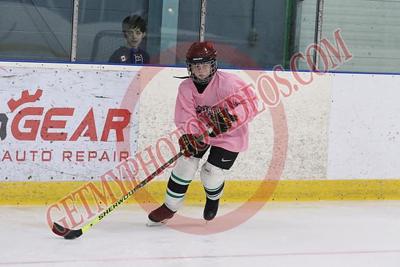 7Z7A3564_8 45 am – U13 – SF – Mount Brydges Cougars Gold vs Pelham Panthers 2– Tri-Township