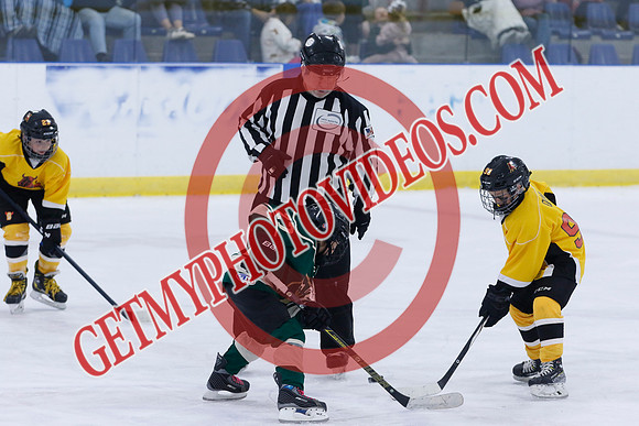 _63A6938_10 05 am - 2016 - Muskoka Moose vs Quinte Golden Bulls - Sel