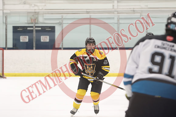032A3112_2 20 pm - U18A - Welland Tigers vs Orillia Terriers - Atlas