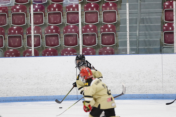 _63A3013_12 30 pm – U11 – Tillsonburg Tornadoes 1 vs Clarington Thunder Golden Knights – Mem