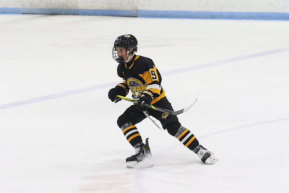 20240531-31738_9 00 pm - U16A - South Oxford Storm vs Whitby Wildcats Blue - MEM