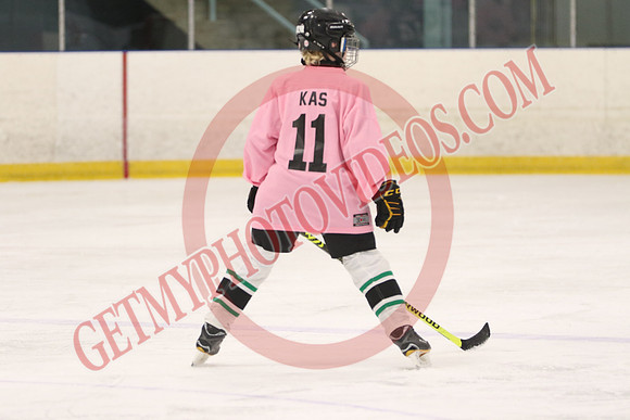 7Z7A3436_8 45 am – U13 – SF – Mount Brydges Cougars Gold vs Pelham Panthers 2– Tri-Township