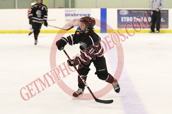 20241116-23761_10 15 am – U13 PB – Tillsonburg Tornadoes 2 vs Simcoe Warriors – Eastlink