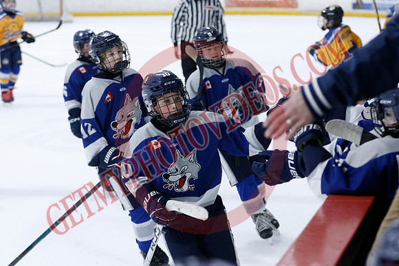 _63A0306_10 15 am - U12A - Collingwood Jr Blues vs Sudbury Wolves - NewRoads