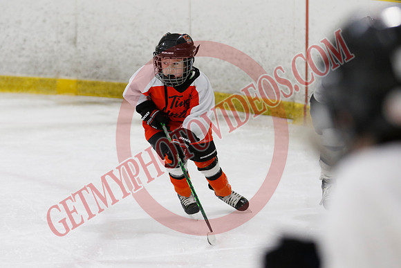 _63A2409_11 45 am - U8LL2 - West Niagara Leafs vs Wainfleet Wild - YELLOW B