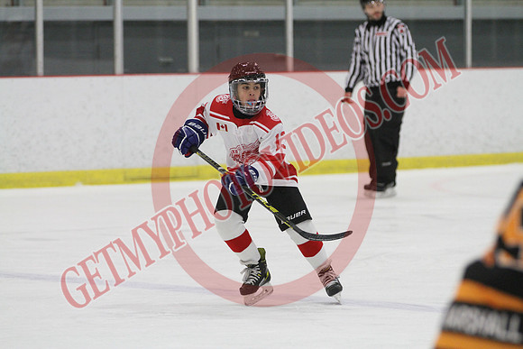 IMG_6400_8 00 am - U13 - Arthur Vipers vs Schomberg Red Wings - Tri