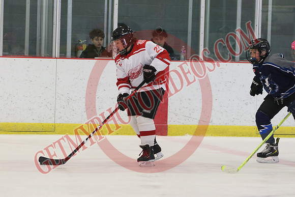1C2A8854_1 00 pm - U11 - Georgian Shores Lightning vs Schomberg Red Wings - Tri