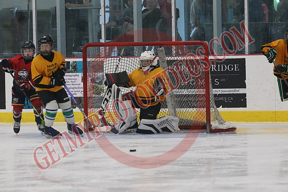 1C2A8782