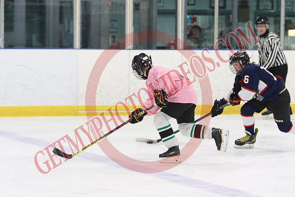 7Z7A3473_8 45 am – U13 – SF – Mount Brydges Cougars Gold vs Pelham Panthers 2– Tri-Township