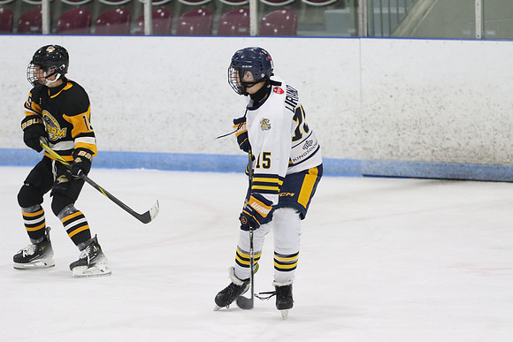20240531-31724_9 00 pm - U16A - South Oxford Storm vs Whitby Wildcats Blue - MEM