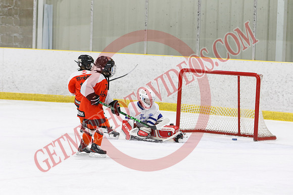 _63A1427_11 45 am - U8LL2 - West Niagara Leafs vs Wainfleet Wild - YELLOW B