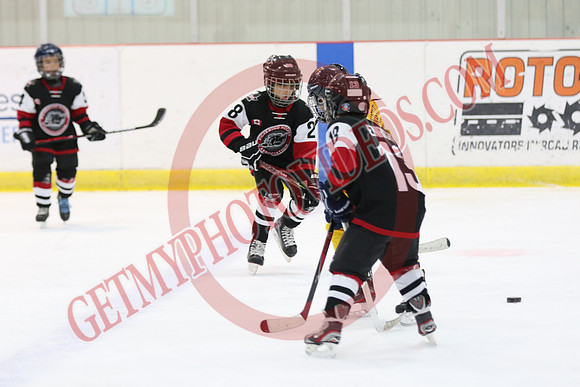1C2A3469