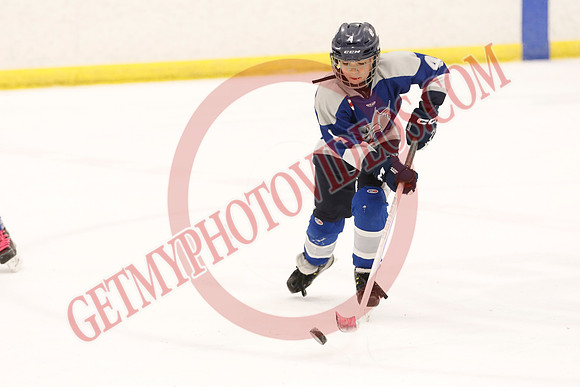 _63A2243_1 00 pm - U12 A - Sudbury Wolves vs Newmarket Renegades - Atlas