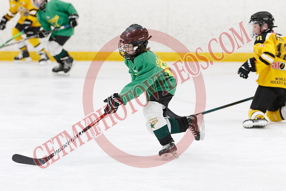 _63A2864_9 00 am - U11 - Millbrooks Stars vs Quite West World Elite Hockey Academy - Pad B