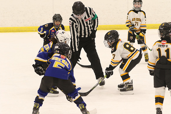7Z7A0053_6 30 pm – Brampton vs Aurora Tigers – Atlas East