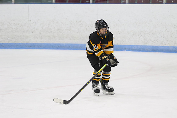 20240531-31729_9 00 pm - U16A - South Oxford Storm vs Whitby Wildcats Blue - MEM