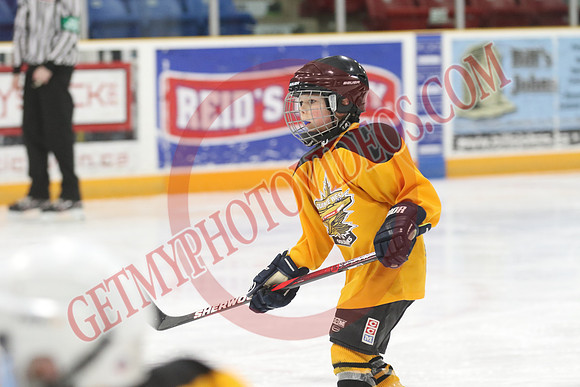 7Z7A0584