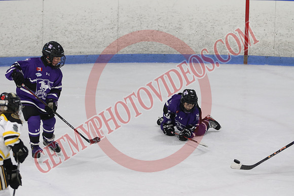 20240531-26712_7 05 pm - U12A - London Jr Mustangs White vs Welland Tigers - CC