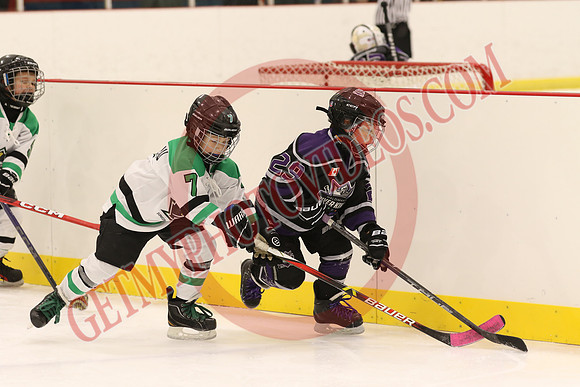 7Z7A3967