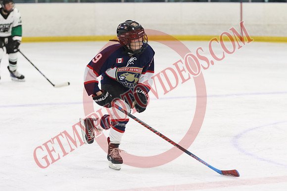 7Z7A0908_5 50 pm – U13 – Mt Brydges Cougars Red vs Pelham Panthers 2 – Tri