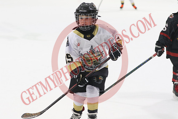 7Z7A0037